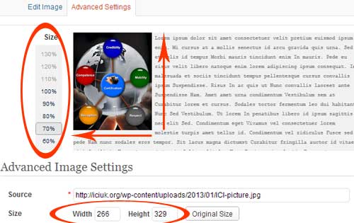 Image Edit Propotional Dimensions WordPress Editor